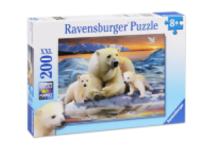 Polar Bears